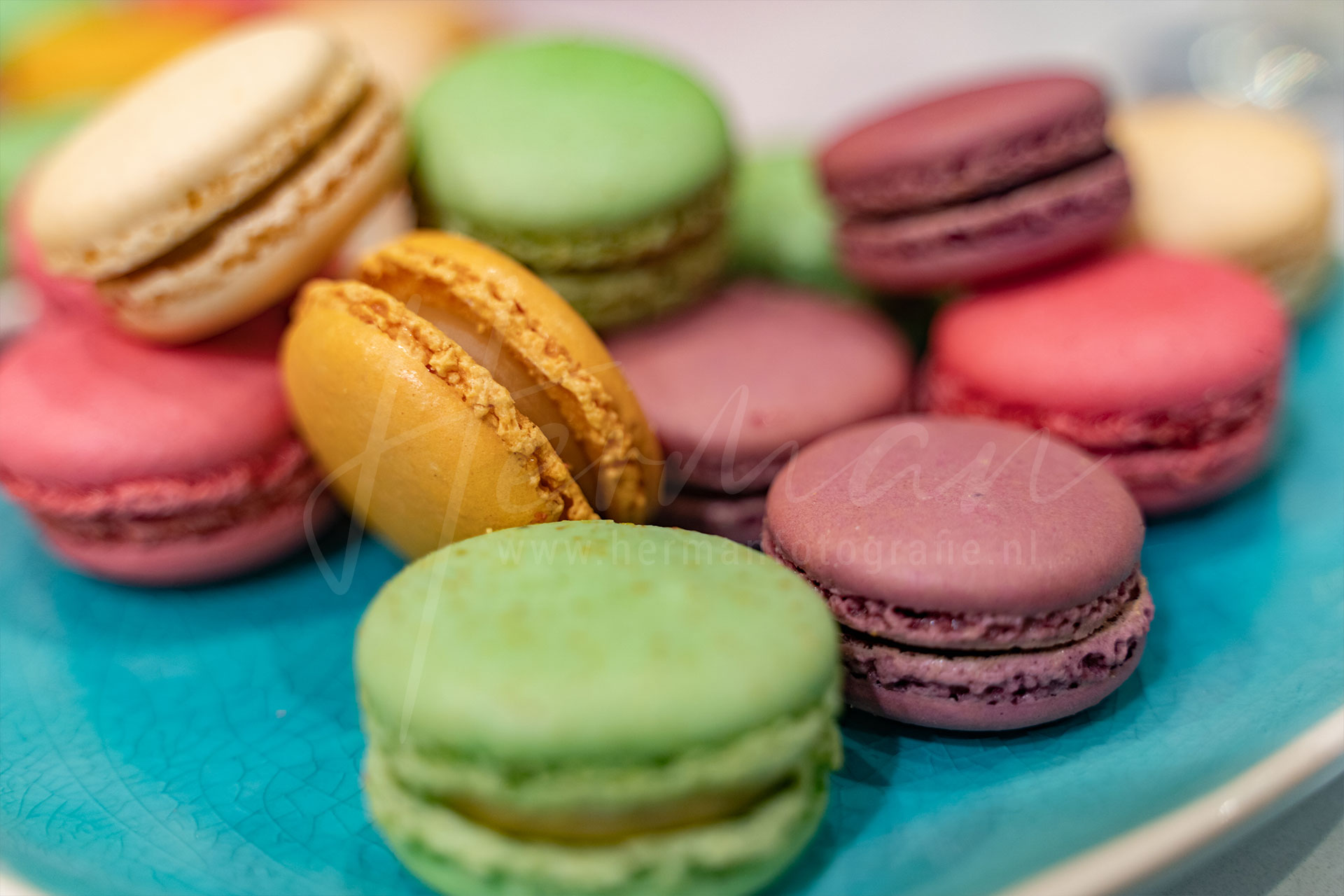 Zakelijke fotoshoot - Fotograaf Rotterdam - Herman Fotografie